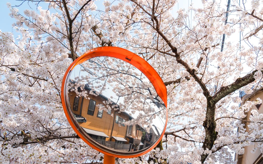 July Newsletter 2019