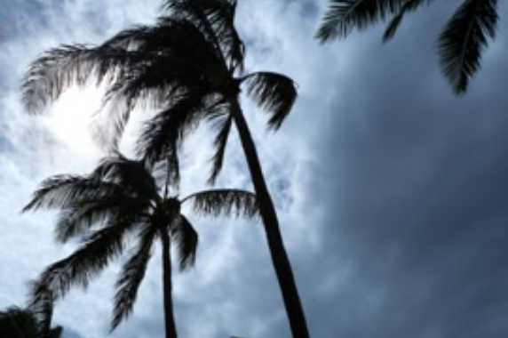 Insurance Storms Whip The Sunshine State