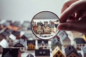 2024 Fall Market Outlook